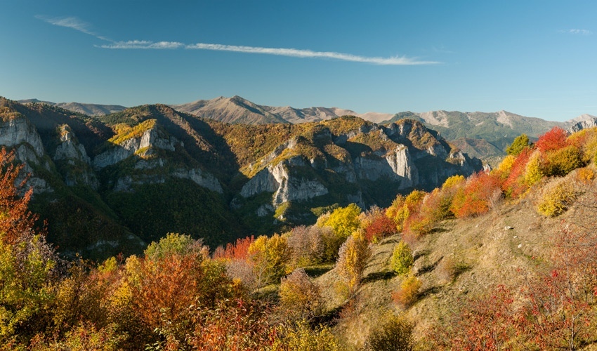 Consiglio di amministrazione del. Parco Naturale Regionale delle Alpi Liguri